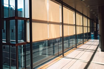 Commercial Grade Roller Shades in an Office Space