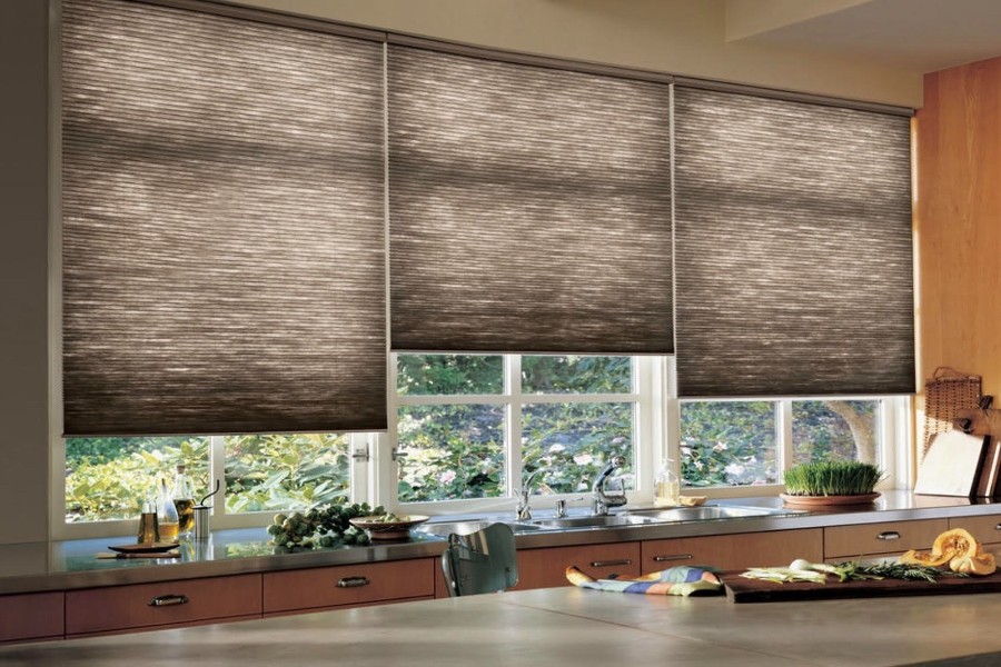 Side By Side Honeycomb Shades